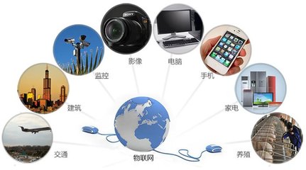 數字時代新賽道 電競與物聯網研發入選國家新職業
